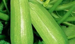 网红吃瓜排行榜最新图片,盘点最新热门事件，揭秘网络热点背后的真相